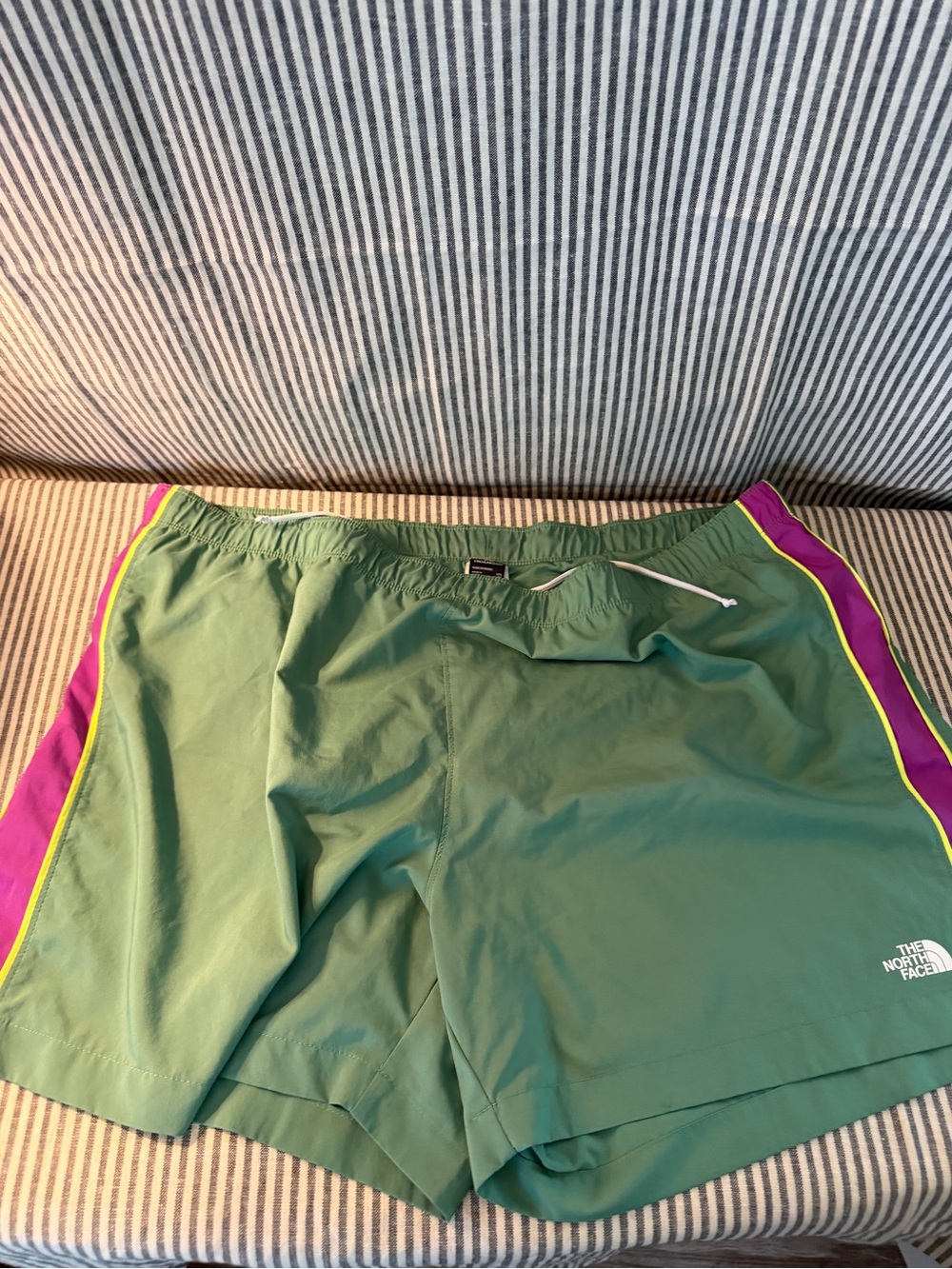 The North Face Green Swim Shorts with Purple and Yellow Trim